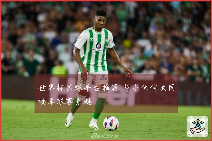 世界杯买球平台推荐 与小伙伴共同畅享球赛乐趣