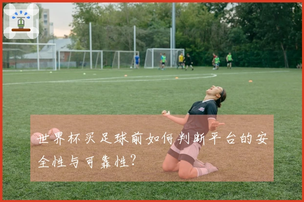 世界杯买足球前如何判断平台的安全性与可靠性？