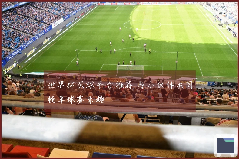 世界杯买球平台推荐 与小伙伴共同畅享球赛乐趣