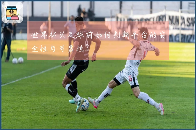 世界杯买足球前如何判断平台的安全性与可靠性？